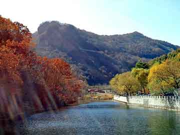 天天彩好彩天天免费，氟化钾价格